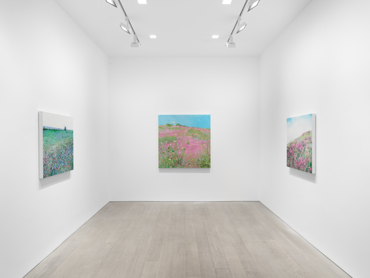 New York, NY: Miles McEnery Gallery, &lsquo;Isca Greenfield-Sanders: Wildflower Path,&rsquo; 16 May - 3 July 2024