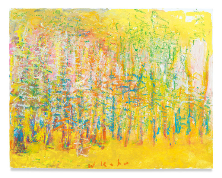 Yellow Woods, 2018,&nbsp;Oil on canvas,&nbsp;22 x 28 inches,&nbsp;55.9 x 71.1 cm,&nbsp;MMG#29960