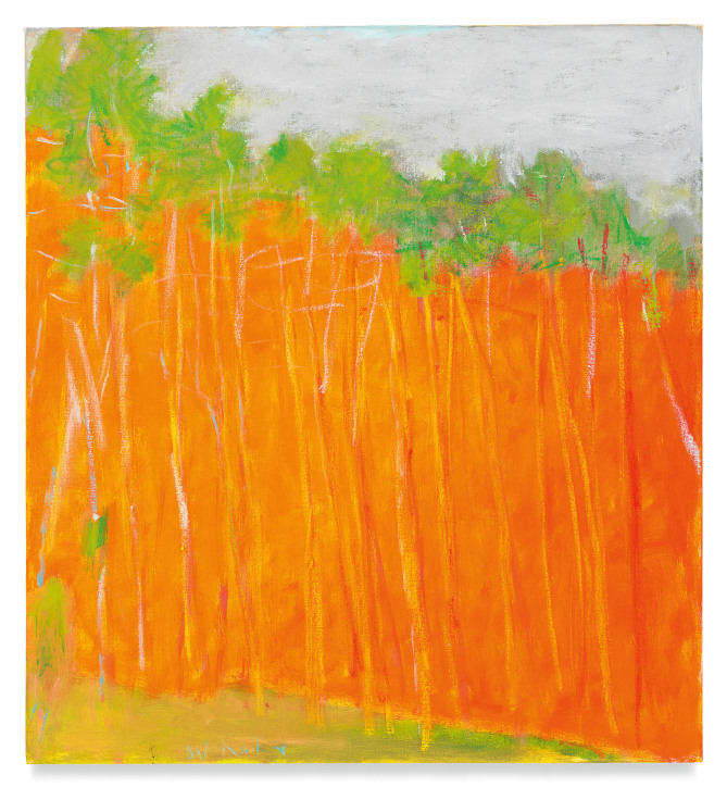 Bold Color, 2011, Oil on canvas, 28 x 26 inches, 71.1 x 66 cm, MMG#20154