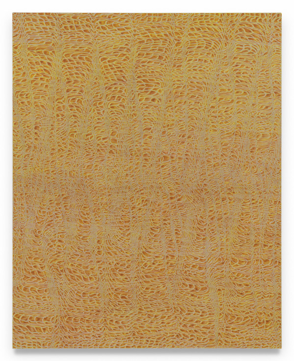 James Siena, PHENOTASP, 2024, Acrylic and graphite on linen, 60 x 48 inches, 152.4 x 121.9 cm, MMG#37234