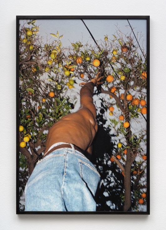 Clifford Prince King, Beneath Our Orange Tree, Archival pigment print on Canson Rag Photographique 310GSM, 48 3/4 x 32 5/8 x 1 5/8 inches, 123.8 x 82.9 x 4.1 cm, MMG#35782
