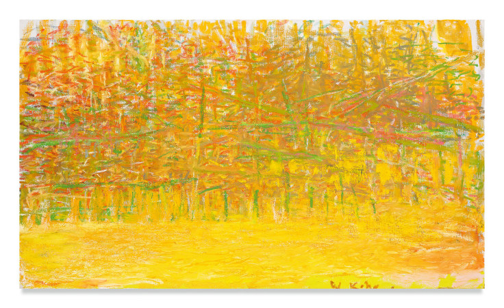 Dense, 2018, Oil on canvas, 30 x 52 inches, 76.2 x 132.1 cm, MMG#30686