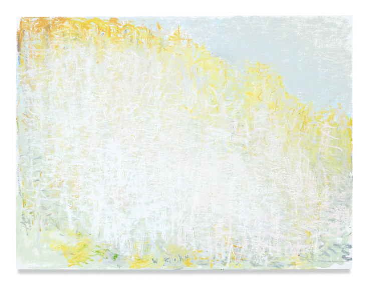 Using White for Density, 2018,&nbsp;Oil on canvas,&nbsp;30 x 40 inches,&nbsp;76.2 x 101.6 cm,&nbsp;MMG#29958