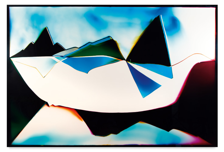 Liz Nielsen, Swan Landscape, 2021, Analog Chromogenic Photogram, on Fujiflex, Image Size: 49 3/8 x 74 1/4 inches (125.4 x 188.6 cm), Framed Size: 53 1/8 x 78 inches (134.9 x 198.1 cm), Unique, MMG#33423