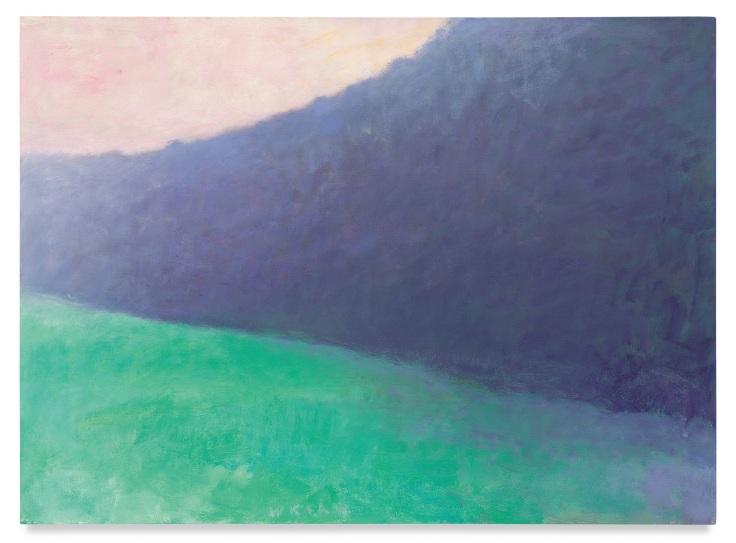 Edged Meadow, 1990, Oil on canvas, 26 x 36 inches, 66 x 91.4 cm, MMG#34718