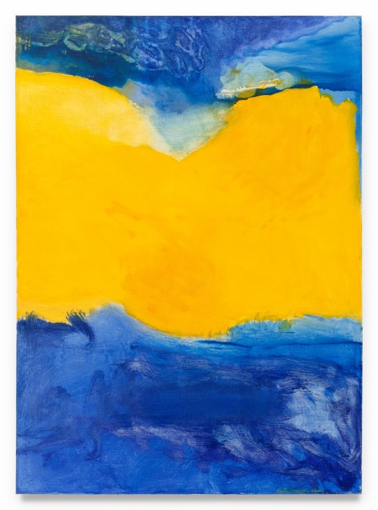 Sea Level, 2004, Oil on canvas, 44 x 32 inches, 111.8 x 81.3 cm,&nbsp;MMG#37041