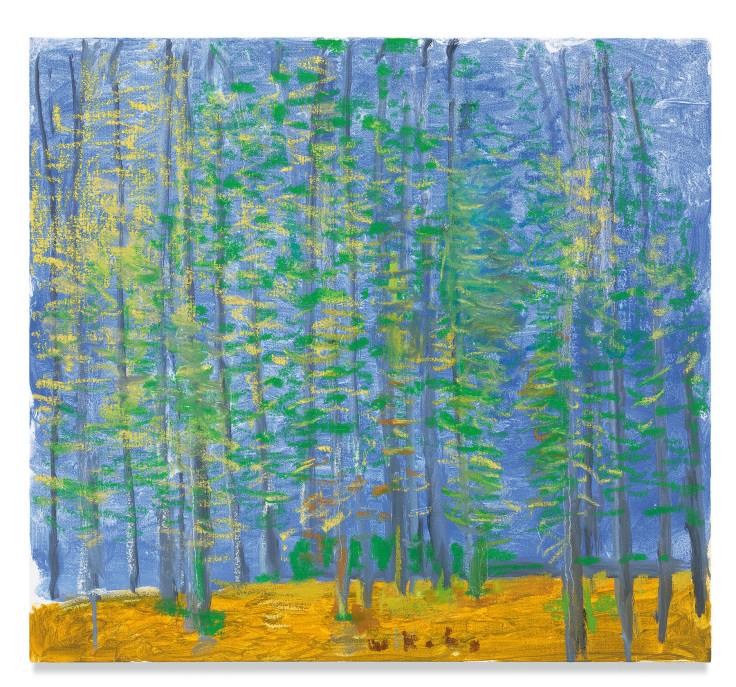 Copse, 2018, Oil on canvas, 22 x 24 inches, 55.9 x 61 cm, MMG#30584