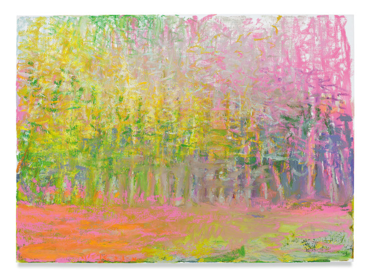 Loving Pink, 2018,&nbsp;Oil on canvas,&nbsp;22 x 30 inches,&nbsp;55.9 x 76.2 cm,&nbsp;MMG#29953