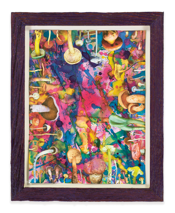 Untitled (SHRooMS), 2021, Watercolor and collage on paper with artist frame (reclaimed wood), 14 5/8 x 11 3/4 inches, 37.1 x 29.8 cm, MMG#33196