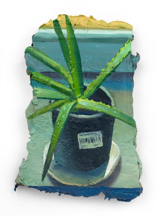 Aloe Vera, 2023, Oil on canvas, 8 1/2 x 5 1/2 inches, 22 x 14 cm, MMG#36778