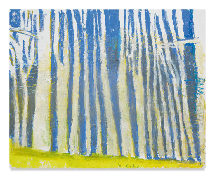 Blue Woods, 2018, Oil on canvas, 36 x 44 inches, 91.4 x 111.8 cm, MMG#30684