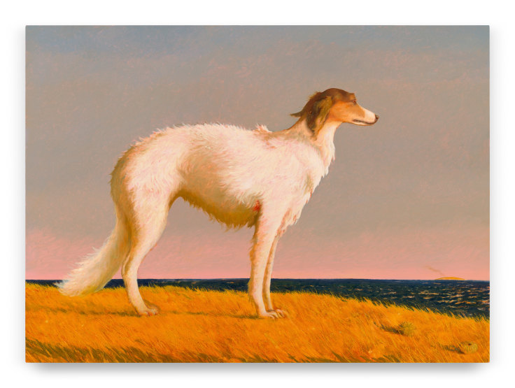 Lost Dog, 2023, Oil on linen, 48 x 66 inches, 121.9 x 167.6 cm,&nbsp;MMG#35734