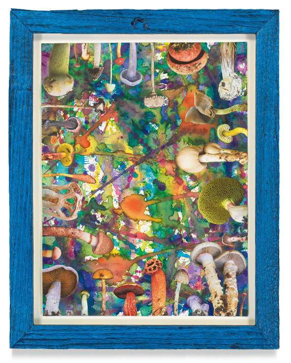 Untitled (SHRooMS), 2021, Watercolor and collage on paper with artist frame (reclaimed wood), 14 5/8 x 11 3/4 inches, 37.1 x 29.8 cm, MMG#33180