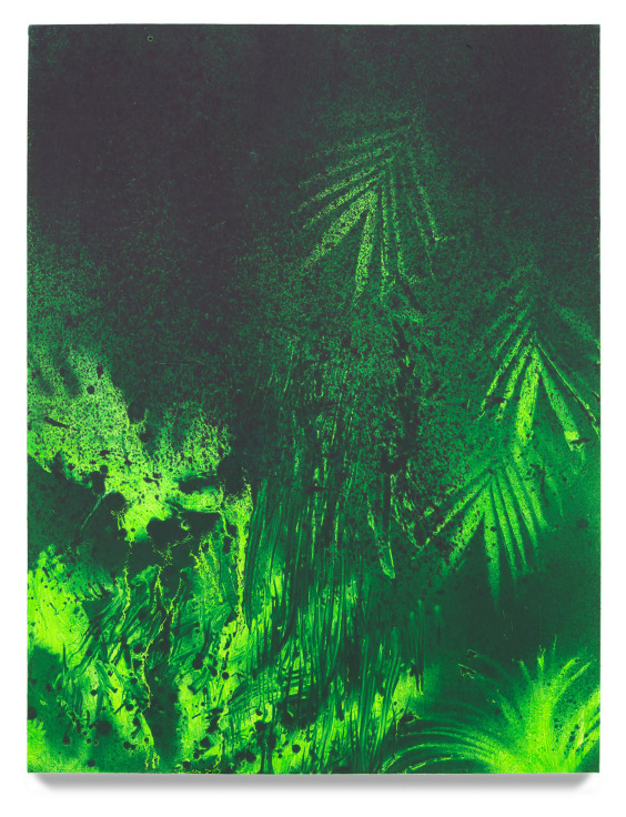 Tom McGrath, Palm, 2010, Oil on canvas over panel, 53 x 42 inches, 134.6 x 106.7 cm, MMG#30948