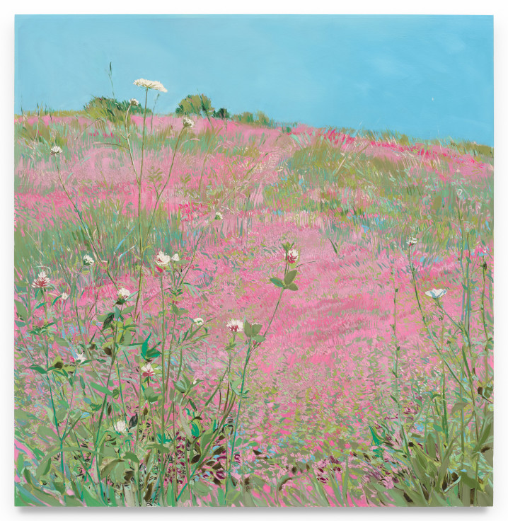 Pink Wildflowers, 2024, Mixed media oil on canvas, 52 x 51 inches, 132.1 x 129.5 cm,&nbsp;MMG#36649