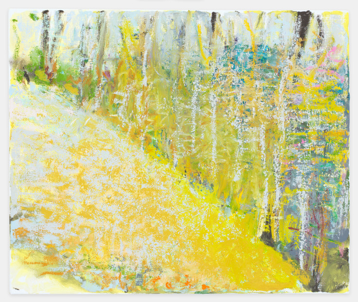 Off Halladay Brook Road, 2018,&nbsp;Oil on canvas,&nbsp;20 x 24 inches,&nbsp;50.8 x 61 cm,&nbsp;MMG#29955