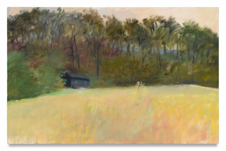 The Thorndyke&#039;s Cabin, 1988, Oil on canvas, 22 x 34 inches, 55.9 x 86.4 cm, MMG#37951
