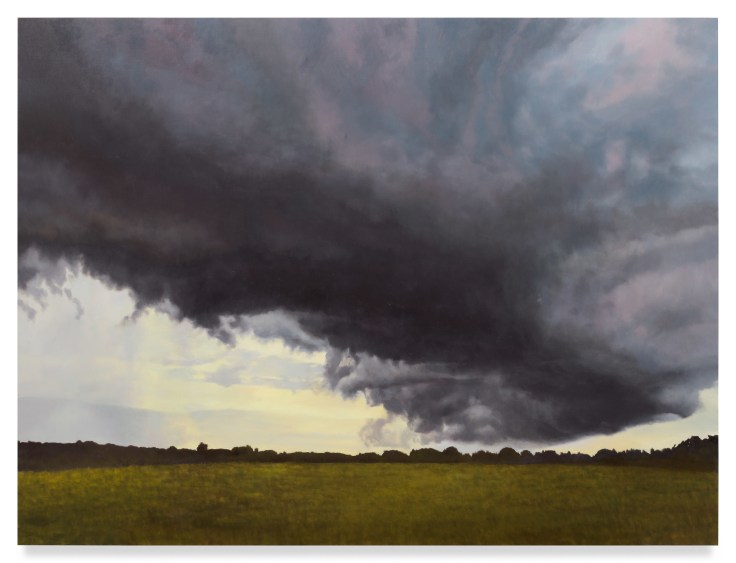 The Falcon&#039;s Eye, 2022, Oil on linen, 72 x 96 inches, 182.9 x 243.8 cm, MMG#35665