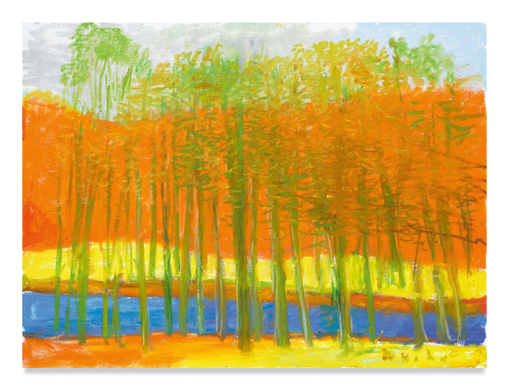Through Trees to a Yellow Field, 2018, Oil on canvas, 30 x 40 inches, 76.2 x 101.6 cm, MMG#30693