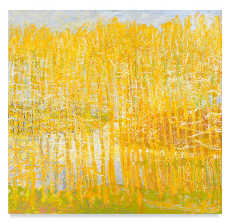Trees Along a River, 2014, Oil on canvas, 36 x 36 inches, 91.4 x 91.4 cm, MMG#29571