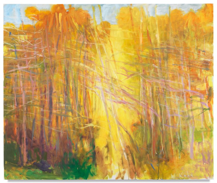 Yellow Middle, 2007, Oil on canvas, 44 x 52 inches, 111.8 x 132.1 cm, MMG#17810