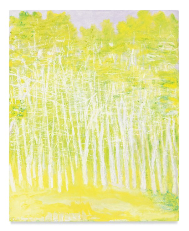 Yellow and White, 2010, Oil on canvas, 40 x 32 inches, 101.6 x 81.3 cm, MMG#19057