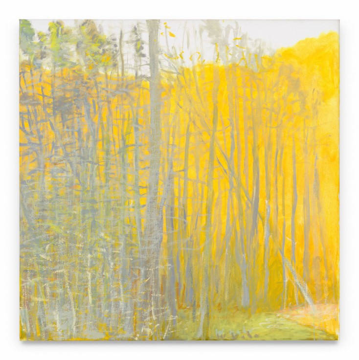 Gray into Yellow, 2014, Oil on canvas, 36 x 36 inches, 91.4 x 91.4 cm, MMG#37538