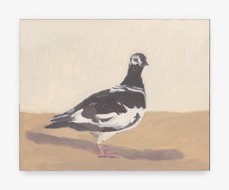 Painting titled Pigeon by Greg Burak from 2019