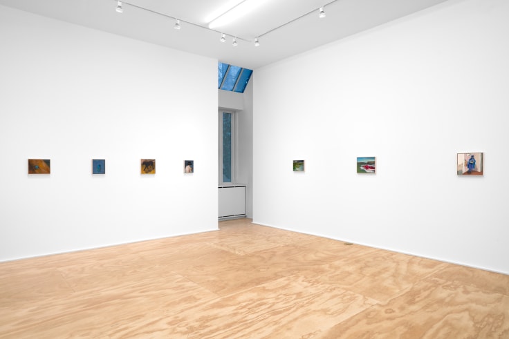 Installation view of Seth Becker's exhibition titled A Boy's Head at Venus Over Manhattan in New York