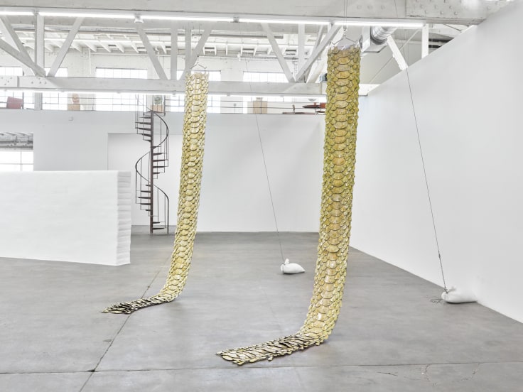 Installation view of snake with sexual interest in own tail, Los Angeles, Venus Over Los Angeles, 2016