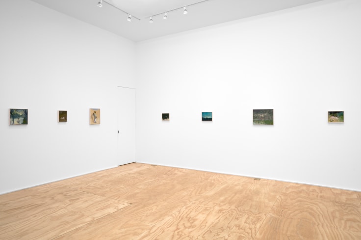 Installation view of Seth Becker's exhibition titled A Boy's Head at Venus Over Manhattan in New York