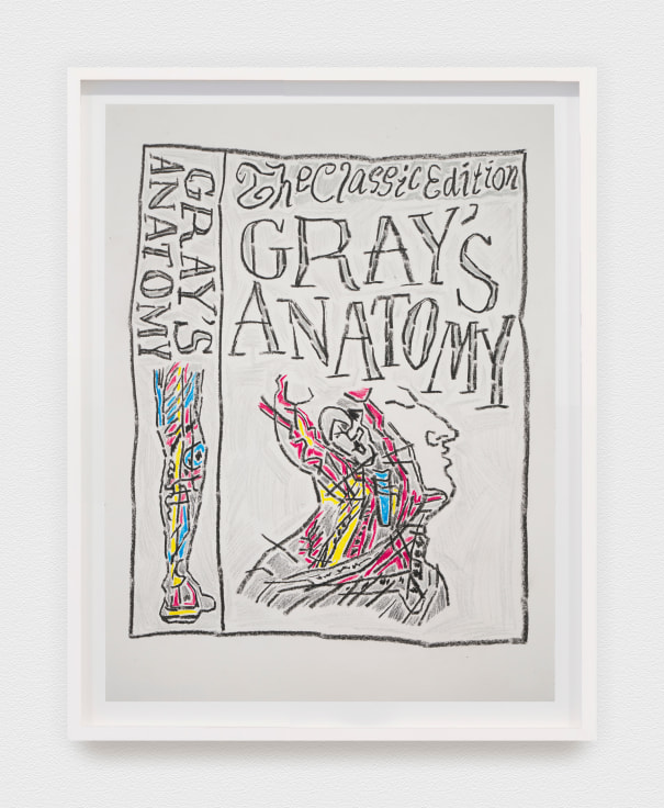 Work on paper by Al Freeman titled Gray's Anatomy from 2024