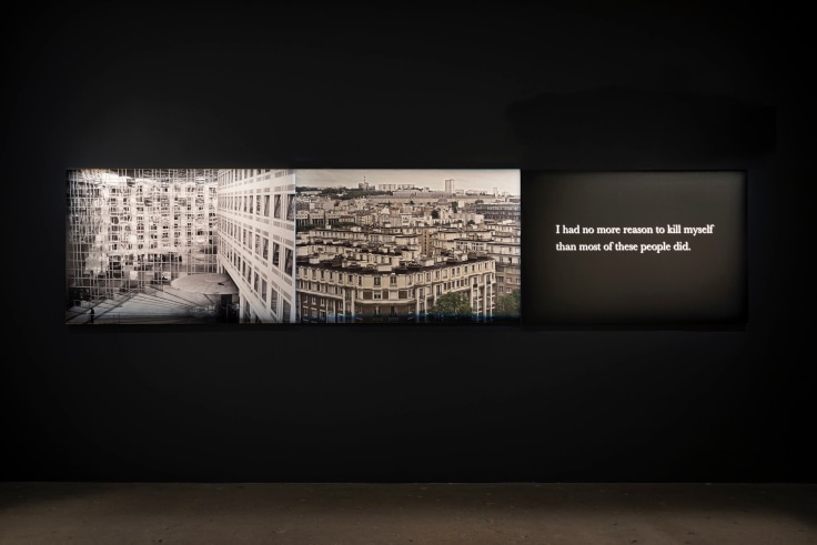 Michel Houellebecq, &quot;France #008&ndash;France #009&ndash;I had...&quot;&nbsp;(2017).&nbsp;Triptych: 3 pigment prints on Baryta paper mounted on aluminum all: 39 3/16 x 172 7/16 in (99.5 x 438 cm) each: 39 3/16 x 57 1/2 in (99.5 x 146 cm)