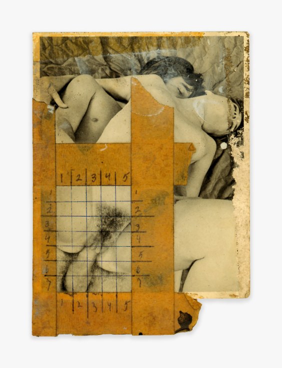 Betty Tompkins Collage #7,