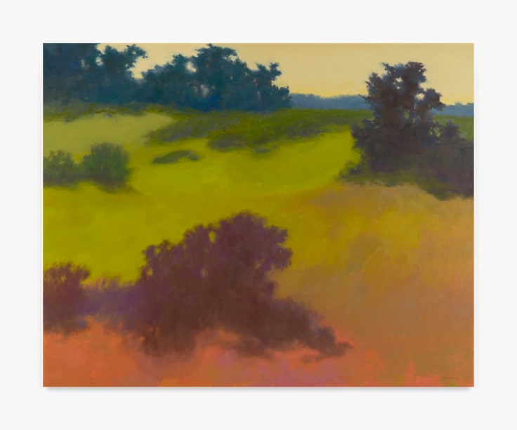 Painting by Richard Mayhew titled Montalyo from 2005.