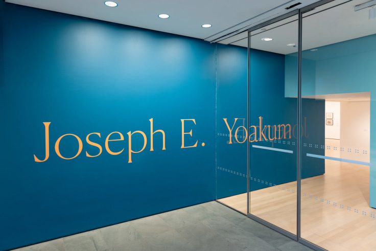 Installation view of&nbsp;Joseph E. Yoakum: What I Saw Museum of Modern Art