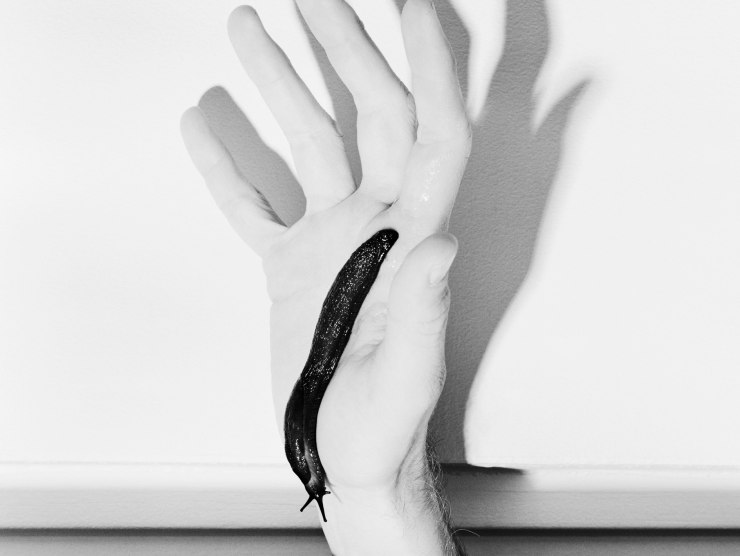 A slug crawls on a hand in this black and white photography.