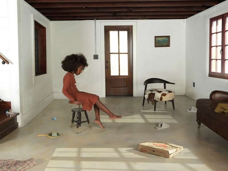 Robert Mann Gallery