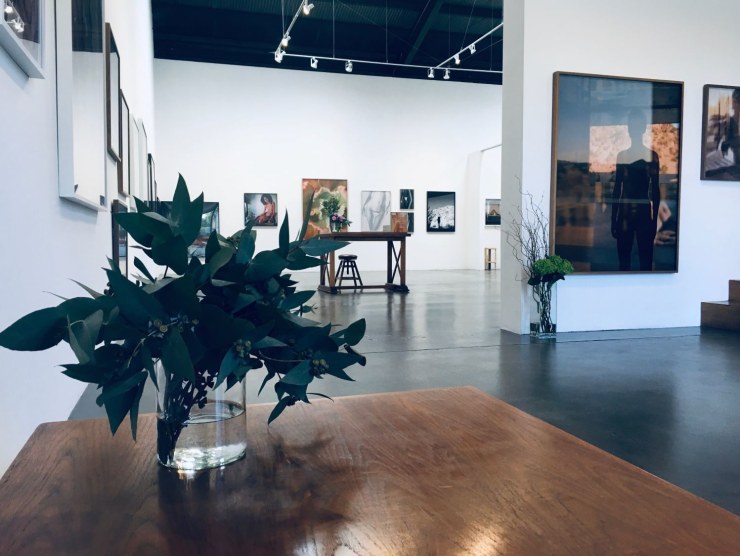 The interior of Galerie XII with framed art on display and a lush plant on a table.