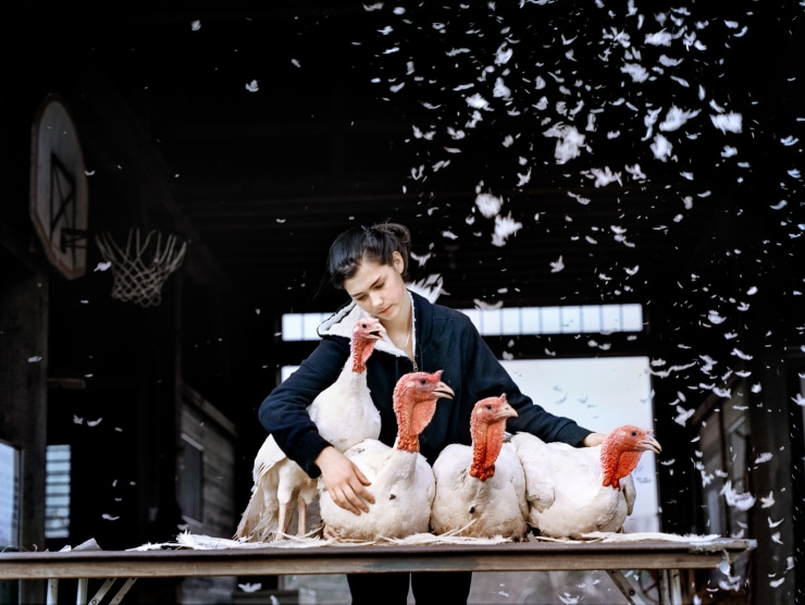 A photograph of a woman embracing four live turkeys while bird feathers float above.
