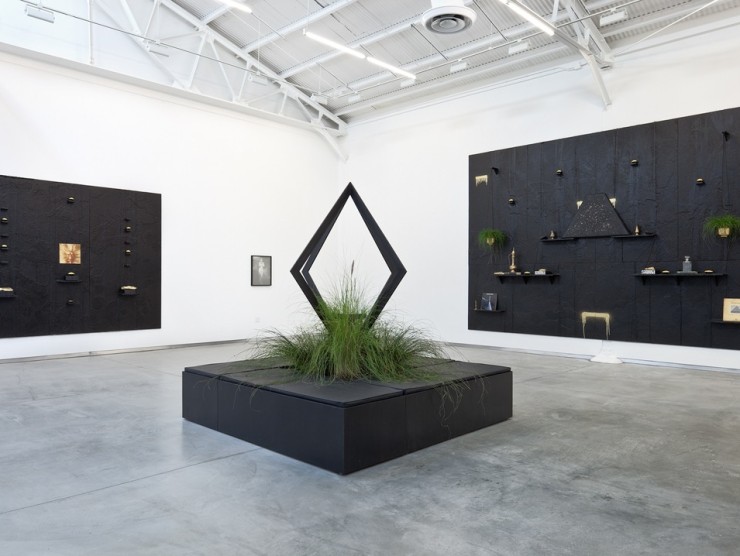 Rashid Johnson