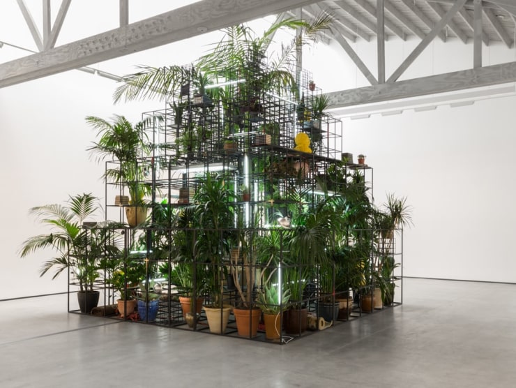 Rashid Johnson
