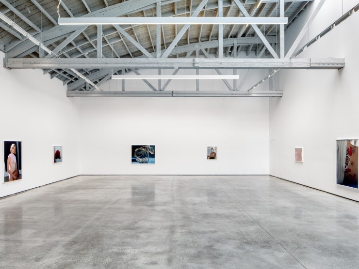 Torbjørn Rødland - Artist - David Kordansky Gallery