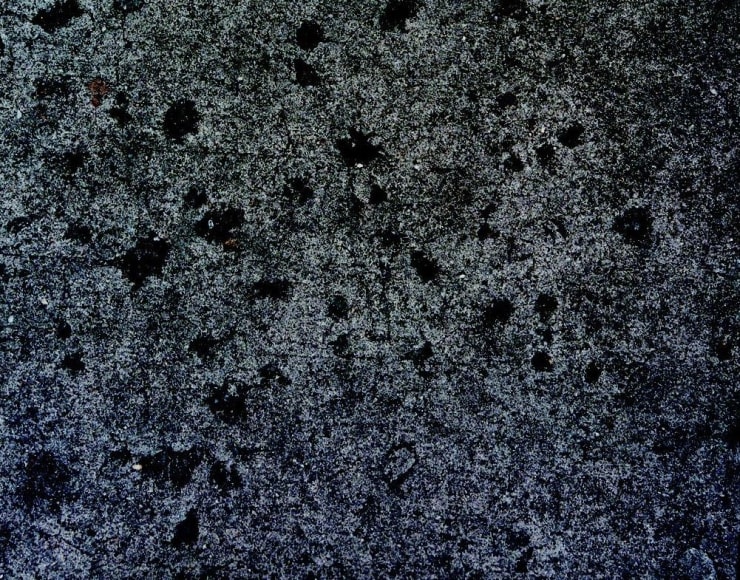 Alt="Zoe Leonard, April 5, frame 10, 2011, Gelatin silver print"