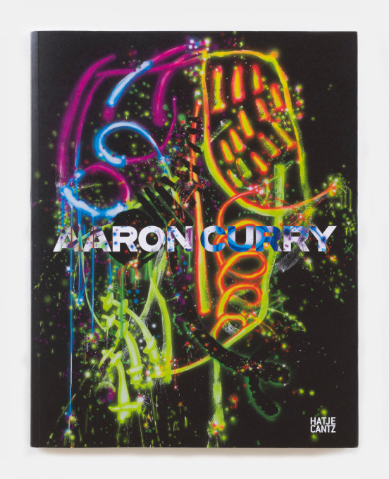 Aaron Curry - Artist - David Kordansky Gallery