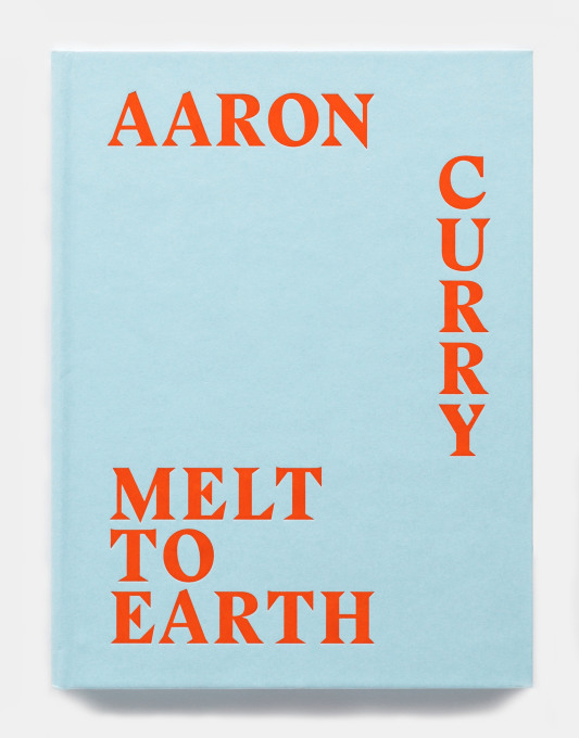 Aaron Curry