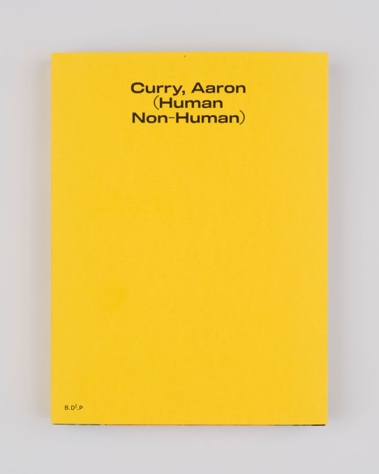 Aaron Curry