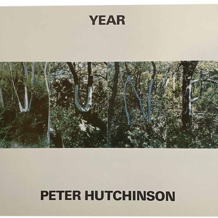 Peter Hutchinson