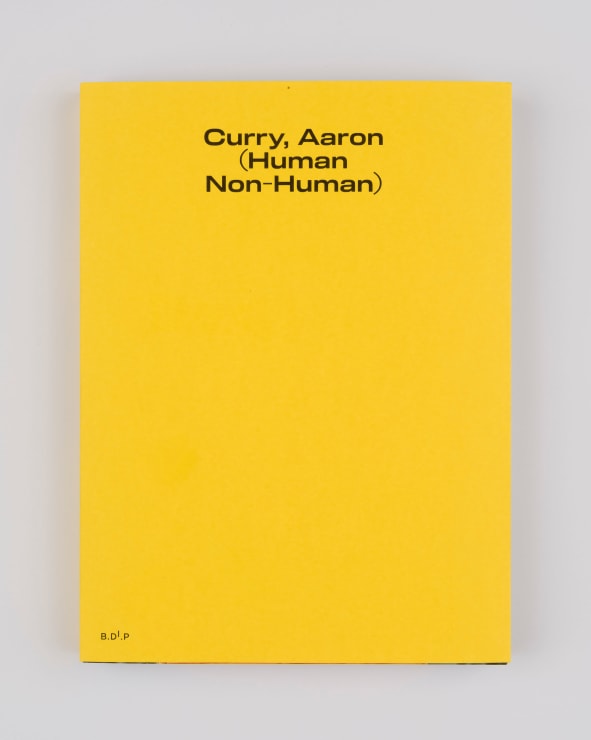 Aaron Curry