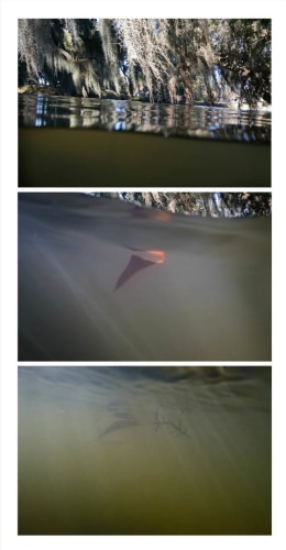 Michel Varisco, Suspended, 2014